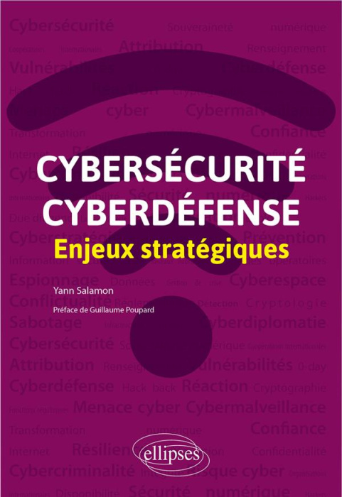 Emprunter Cybersécurité et cyberdéfense. Enjeux stratégiques livre