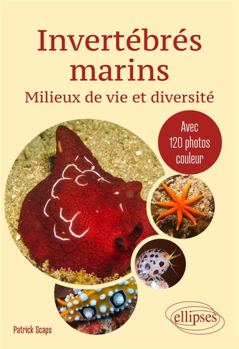 Emprunter Invertébrés marins. Milieux de vie et diversité livre