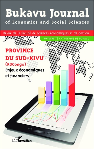 Emprunter Province du sud-kivu (République Démocratique du Congo). Enjeux économiques et financiers livre