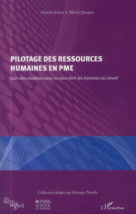Emprunter Pilotage des ressources humaines en PME. Loin des modèles pour ne plus tarir les hommes au travail livre