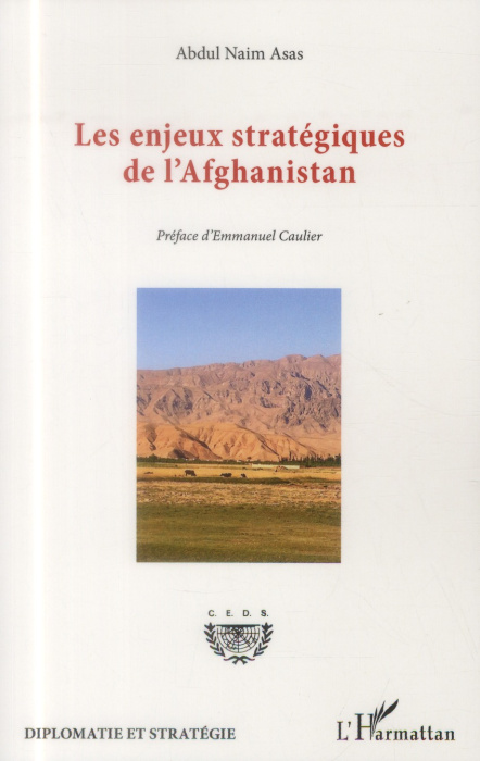 Emprunter Les enjeux stratégiques de l'Afghanistan livre