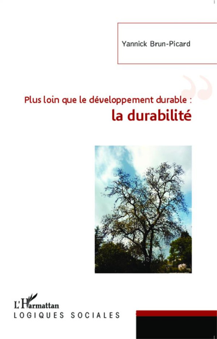 Emprunter Plus loin que le développement durable : la durabilité livre