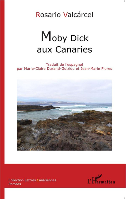 Emprunter Moby Dick aux Canaries livre