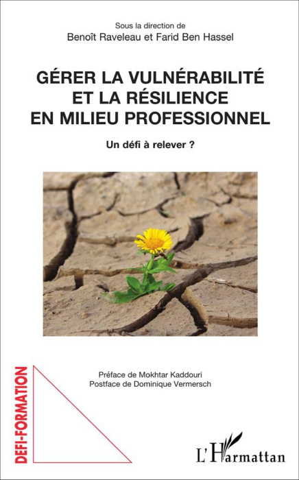 Emprunter Gérer la vulnérabilité et la résilience en milieu professionnel. Un défi à relever ? livre