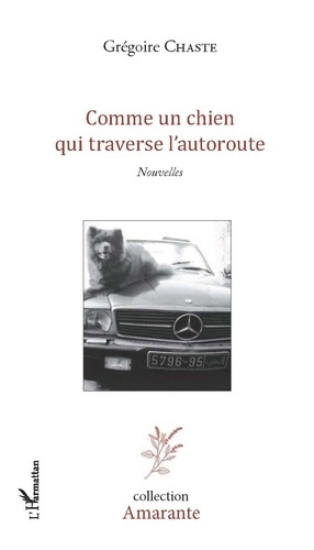 Emprunter Comme un chien qui traverse l'autoroute livre