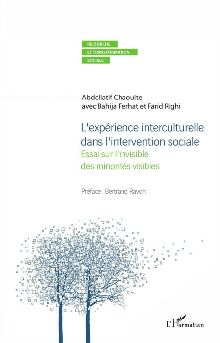 Emprunter L'expérience interculturelle dans l'intervention sociale. Essai sur l'invisible des minorités visibl livre