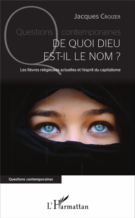 Emprunter De quoi Dieu est-il le nom ? Les fièvres religieuses actuelles et l'esprit du capitalisme livre