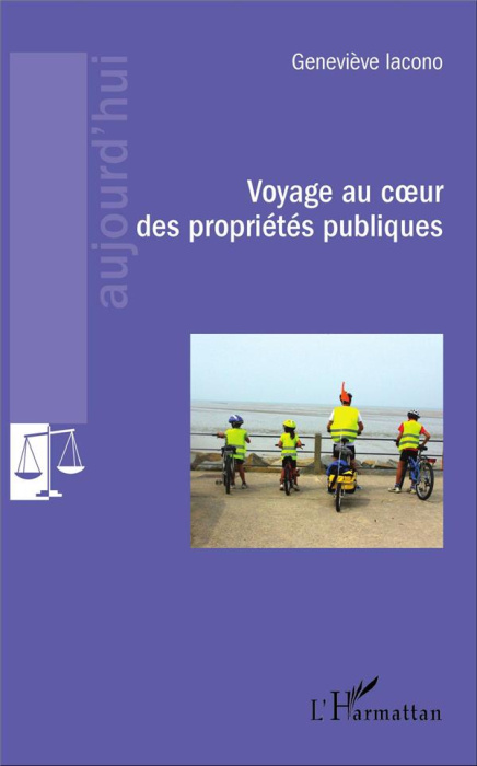 Emprunter Voyage au coeur des propriétés publiques livre