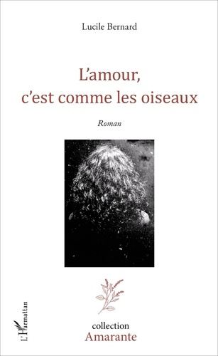 Emprunter l'amour, c'est comme les oiseaux livre