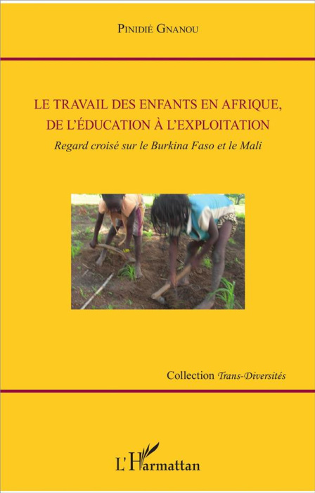 Emprunter Le travail des enfants en Afrique, de l'éducation à l'exploitation. Regard croisé sur le Burkina Fas livre