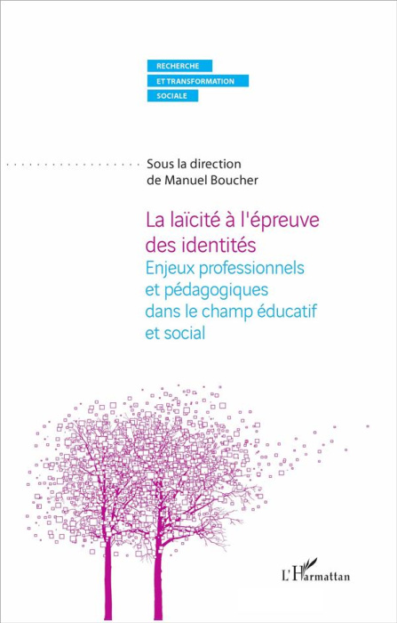 Emprunter La laïcité à l'épreuve des identités. Enjeux professionnels et pédagogiques dans le champ éducatif e livre