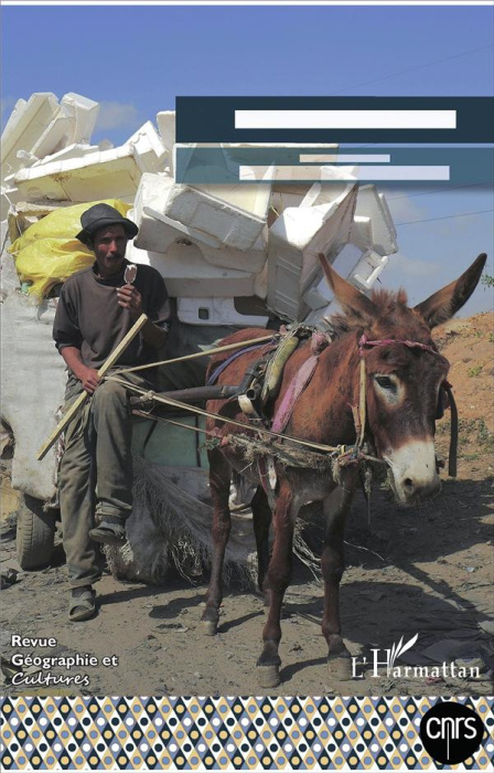 Emprunter Géographie et Cultures N° 98-99, été-automne 2016 : Les indésirables livre