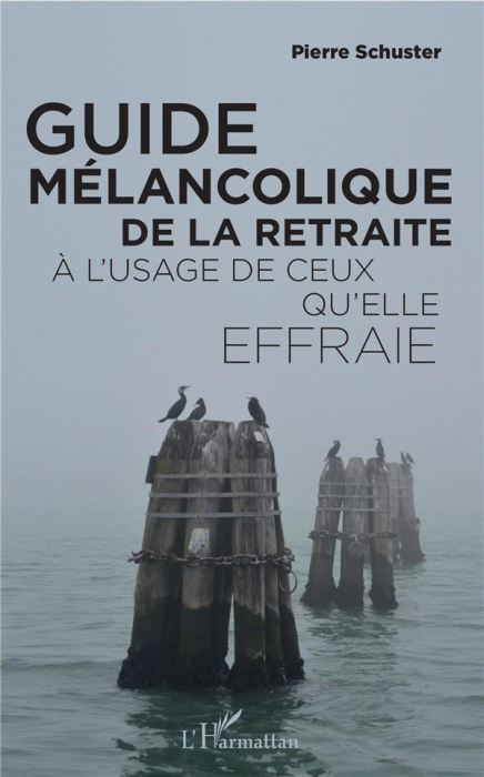 Emprunter Guide mélancolique de la retraite à l'usage de ceux qu'elle effraie livre