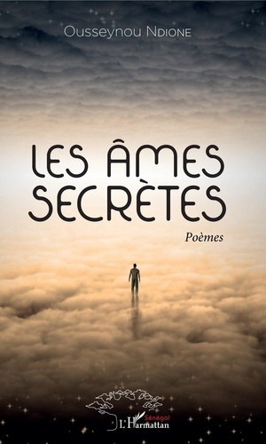 Emprunter Les âmes secrètes livre