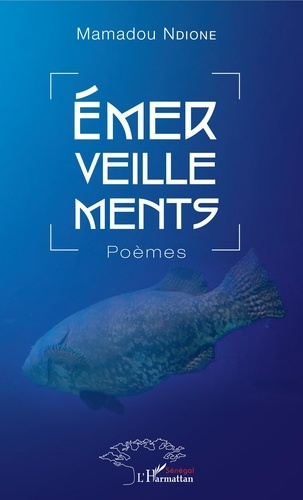 Emprunter Emerveillements livre