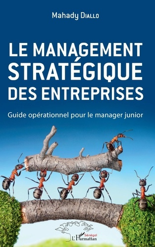 Emprunter Le management stratégique des entreprises. Guide opérationnel pour le manager junior livre