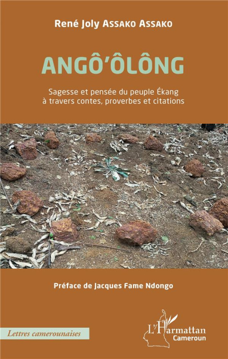 Emprunter Angô'ôlông. Sagesse et pensée du peuple Ekang à travers contes, proverbes et citations livre