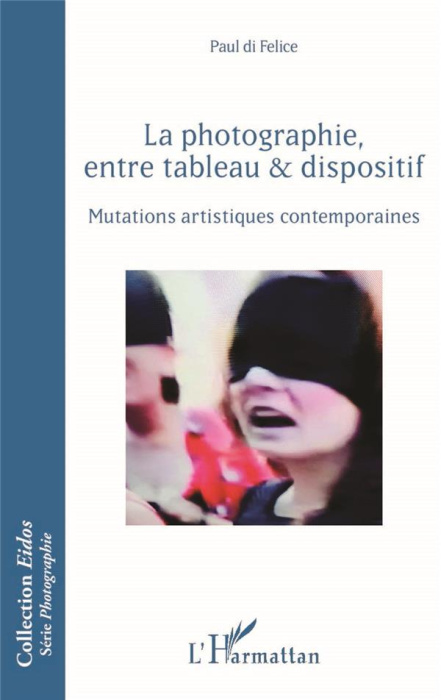 Emprunter La photographie, entre tableau et dispositif. Mutations artistiques contemporaines livre