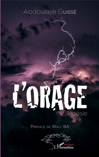 Emprunter L'orage livre