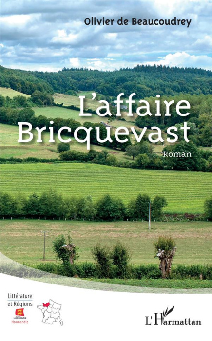 Emprunter L'affaire Bricquevast livre
