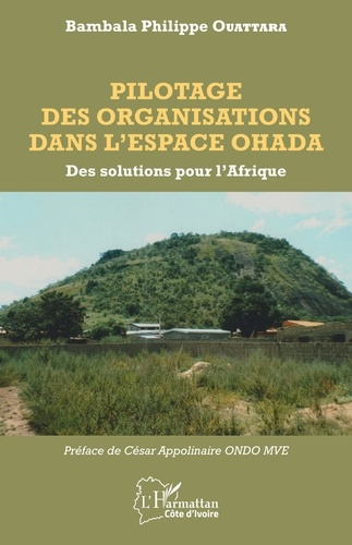 Emprunter Pilotage des organisations dans l'espace OHADA. Des solutions pour l'Afrique livre