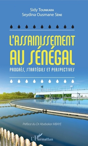 Emprunter L'assainissement au Sénégal. Progrès, stratégies et perspectives livre