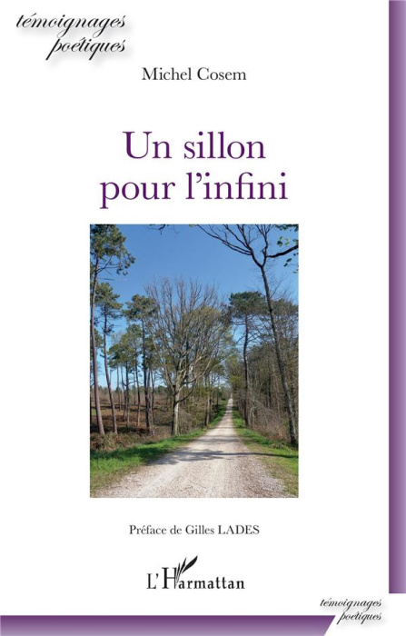 Emprunter Un sillon pour l'infini livre