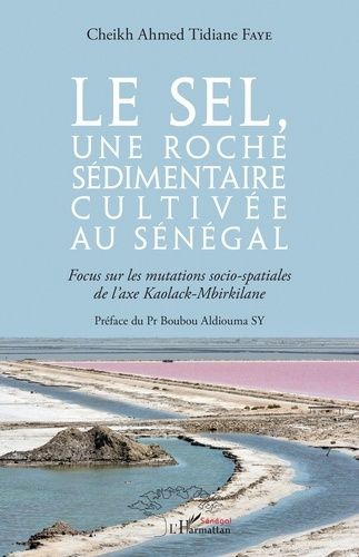 Emprunter Le sel, une roche sédimentaire cultivée au Sénégal. Focus sur les mutations socio-spatiales de l'axe livre