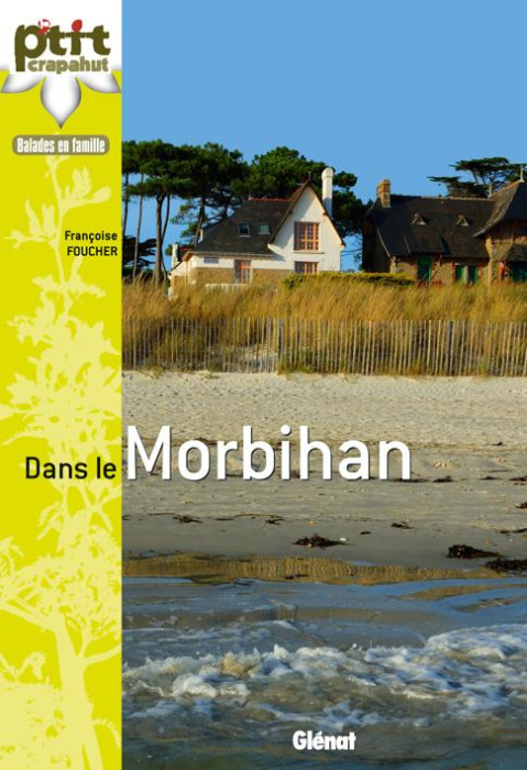 Emprunter DANS LE GOLFE DU MORBIHAN livre