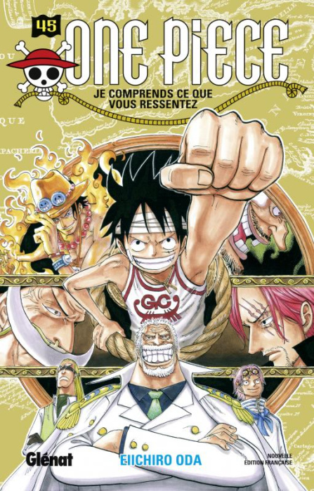 Emprunter One Piece Tome 45 : Je comprends ce que vous ressentez livre