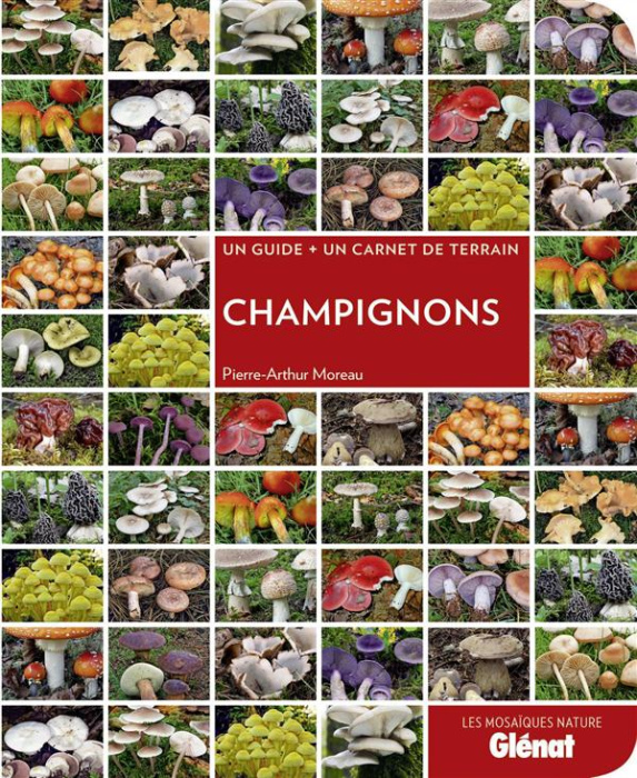 Emprunter Champignons livre