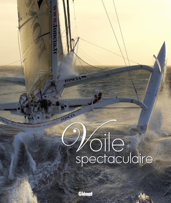 Emprunter Voile spectaculaire livre