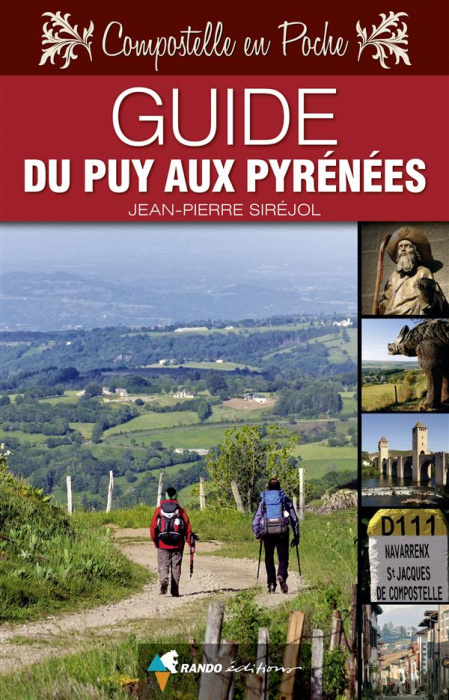 Emprunter Guide du Puy aux Pyrenées livre