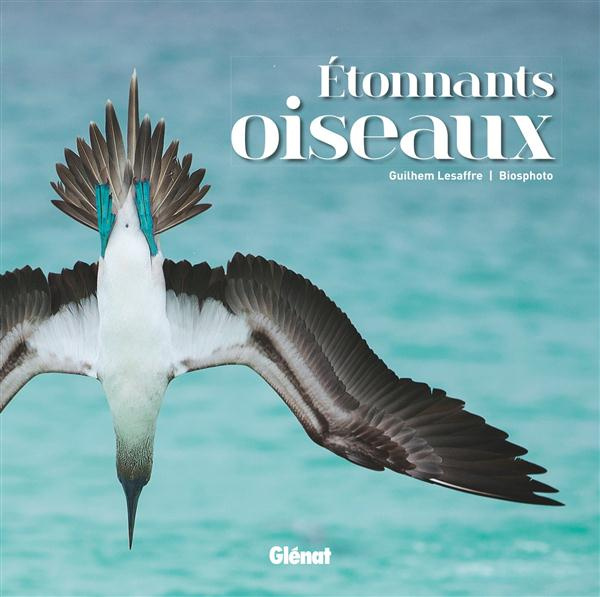 Emprunter Etonnants oiseaux livre