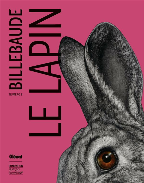 Emprunter Billebaude N° 8 : Le lapin livre