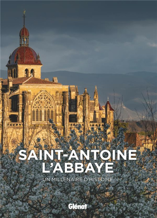 Emprunter Saint-Antoine l'Abbaye. Un millénaire d'histoire livre