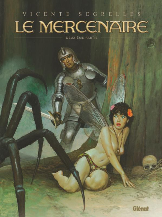 Emprunter Le Mercenaire Intégrale Tome 2 : La sphère noire ; Le voyage ; L'an Mil, la fin du monde ; Les ancêt livre