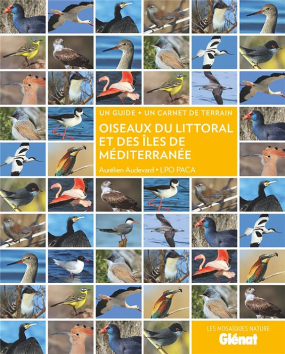 Emprunter Oiseaux du littoral et des îles de Méditerranée. Un guide un carnet de terrain livre