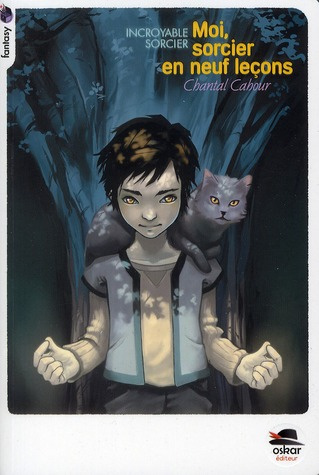 Emprunter Incroyable sorcier : Moi, sorcier en 9 leçons livre