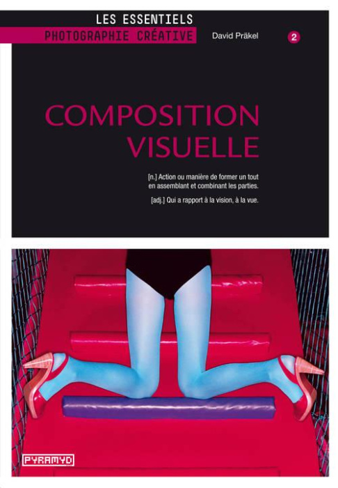 Emprunter Composition visuelle livre