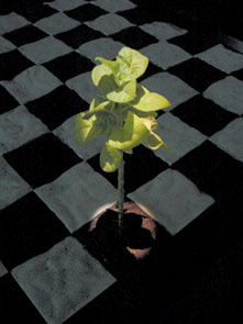 Emprunter Move 36 livre