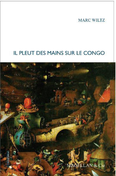 Emprunter Il pleut des mains sur le Congo livre