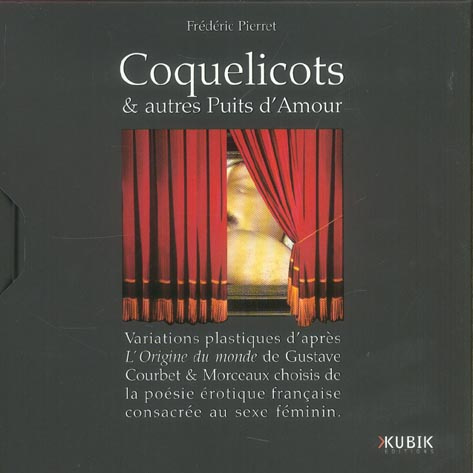 Emprunter Coquelicots & autres Puits d'Amour livre