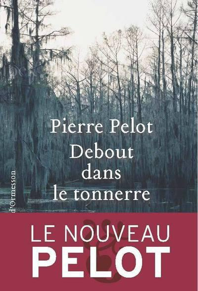 Emprunter Debout dans le tonnerre livre
