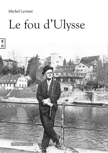 Emprunter Le fou d'Ulysse livre
