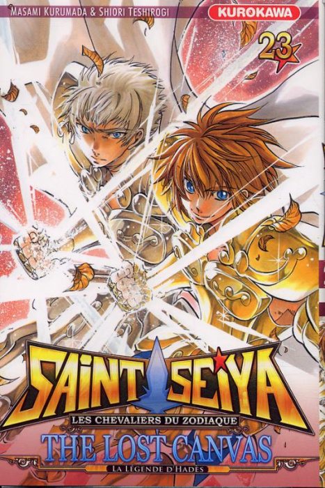 Emprunter Saint Seiya - The Lost Canvas : La légende d'Hadès Tome 23 livre