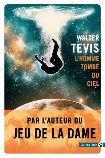 Emprunter L'homme tombé du ciel livre