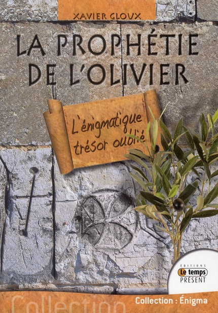 Emprunter L'énigmatique trésor oublié livre