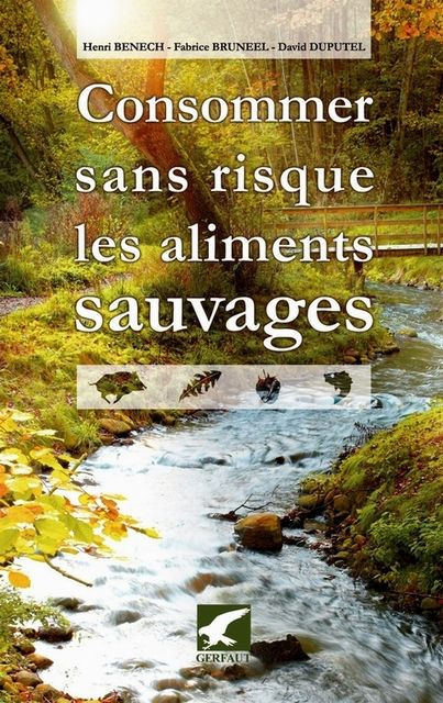 Emprunter Consommer sans risque les aliments sauvages. Rechercher et consommer sans risque les fruits, salades livre