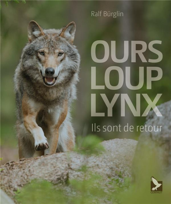 Emprunter Ours, loup, lynx. Ils sont de retour livre
